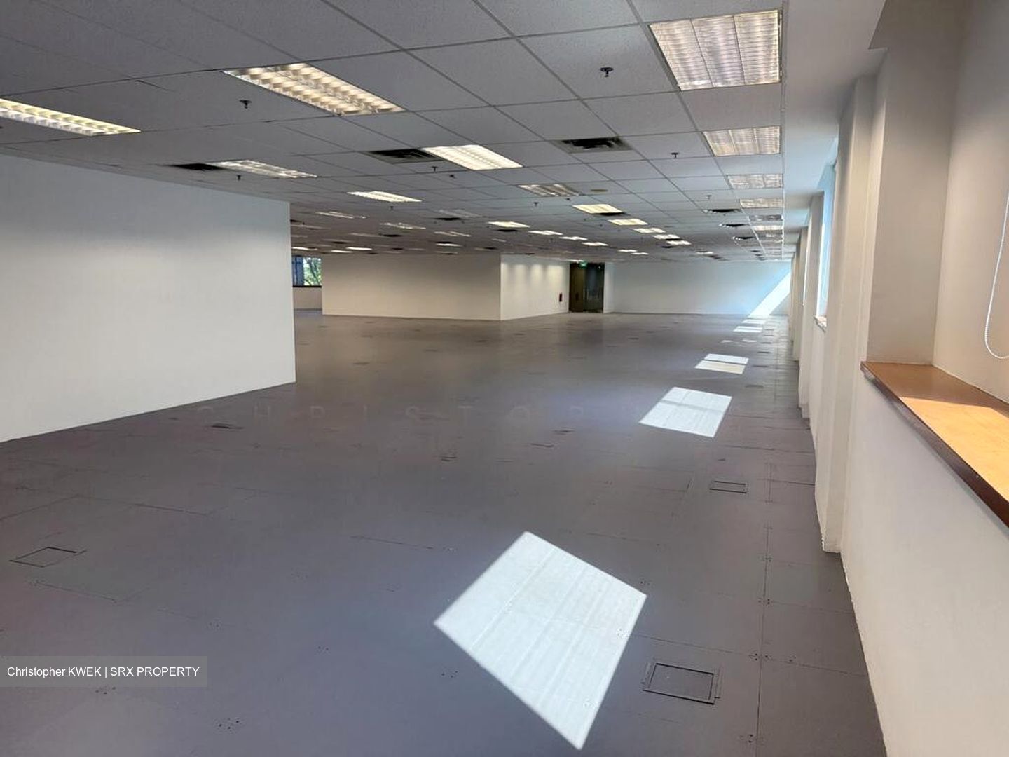 Haw Par Centre (D9), Office #495527951